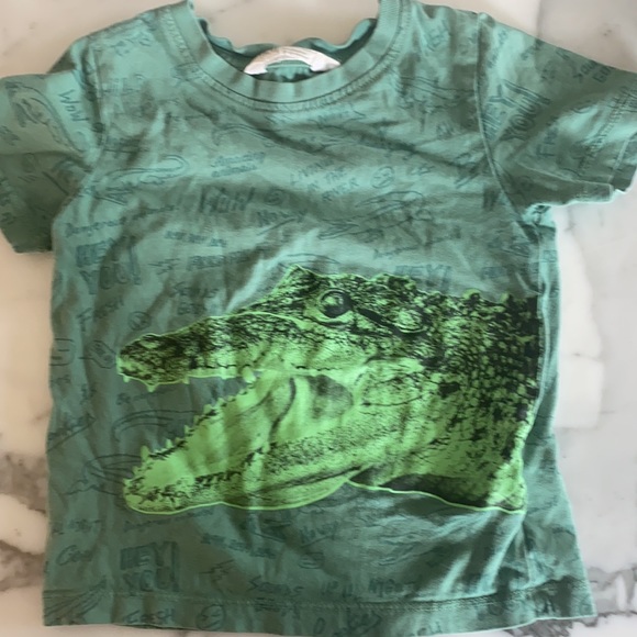 H&M gator shorts & top outfit. Size 2-4. 🐊 - Picture 2 of 5